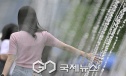 짙은 안개